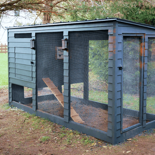 Empty wood slatted chicken coop.