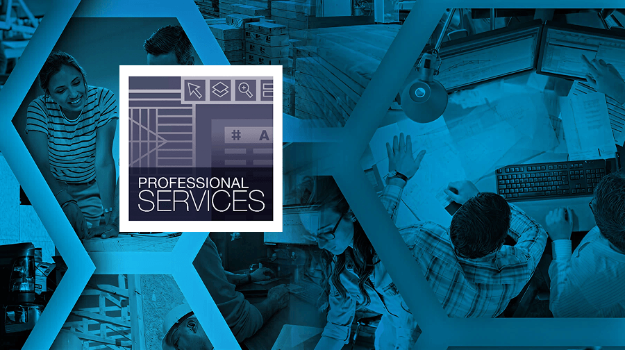Professional Services